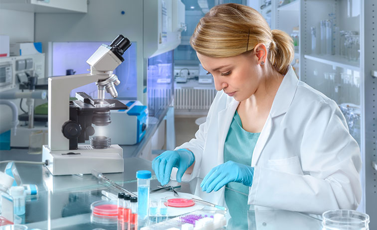 リアルタイムPCRプレートは、医学、遺伝学、免疫、生化学に関連するアプリケーションで広く使用されている人気のある実験室使い捨て消耗品です